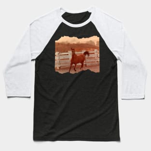 Bay Arabian Horse Baseball T-Shirt